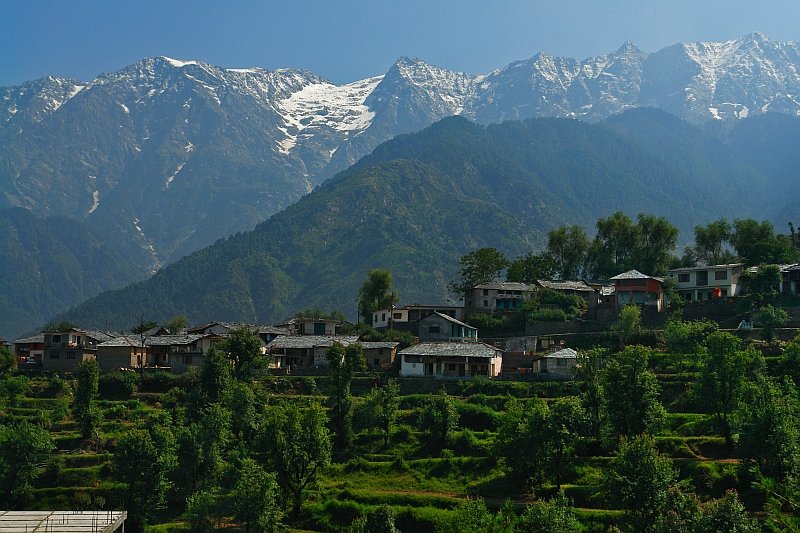 Village-of-Dharamshala